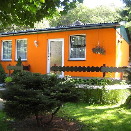 Ferienhaus Petra Elbingerode (Saxony-Anhalt) Exterior foto